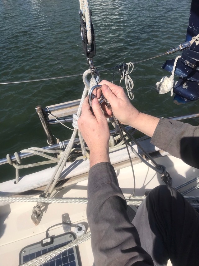 8FD1FCAE-578F-4CCB-AB9C-730F4EC4860F 1 105 c