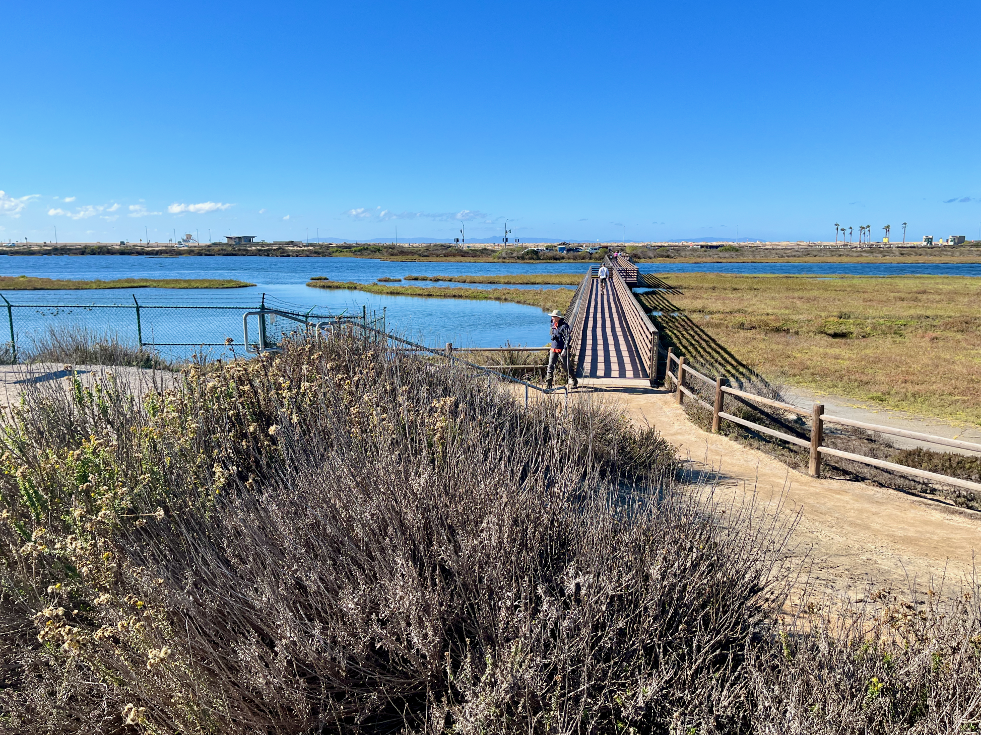 Bolsa Chica Ecological Reserve