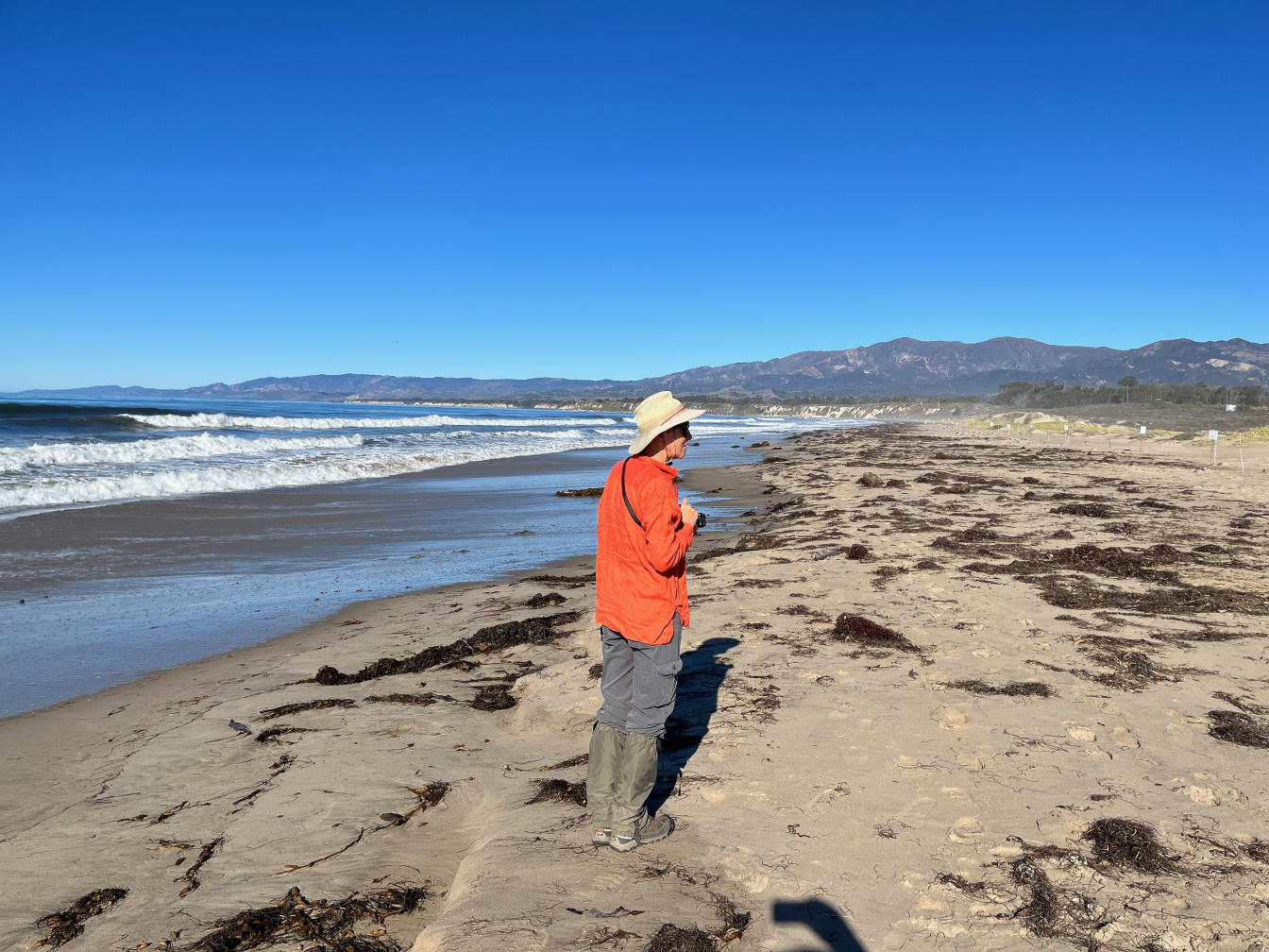Campus Point State Marina Conservation Area