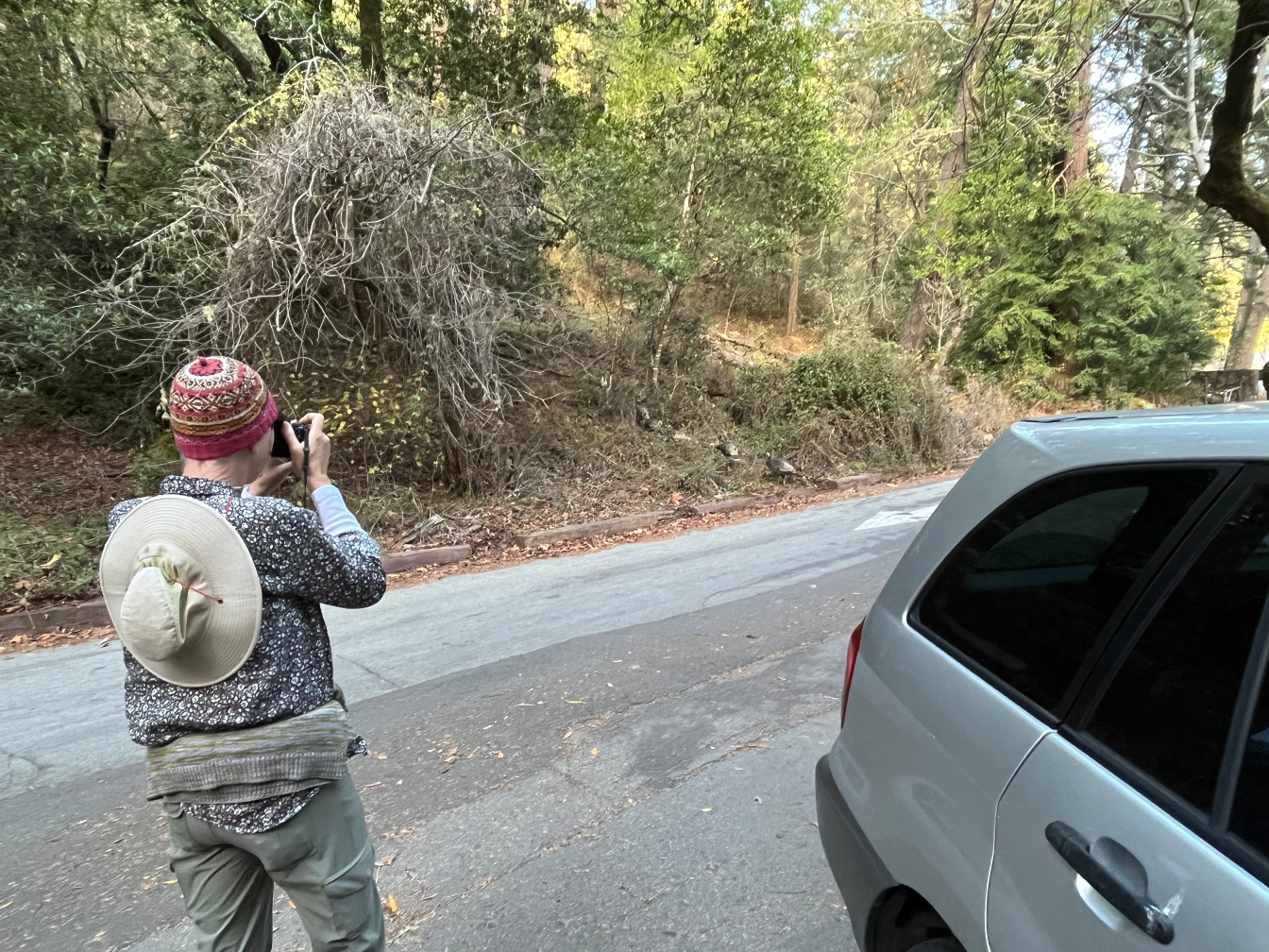 Muir Woods National Monument